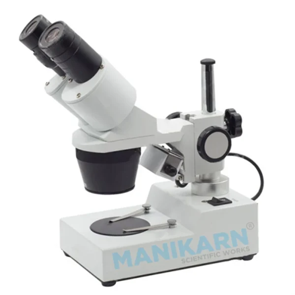 Stereo Microscope