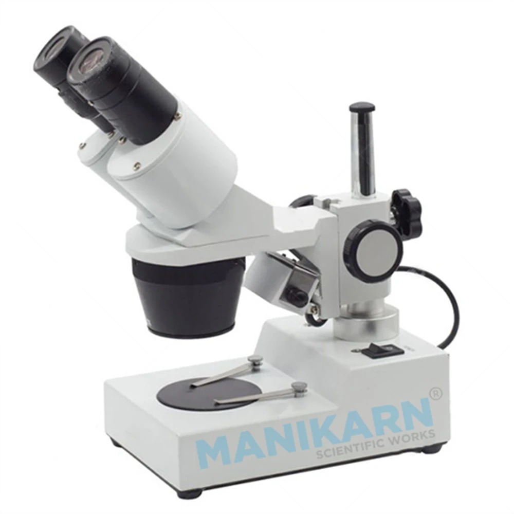 Stereo Microscope