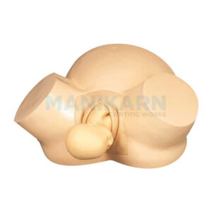 DELIVERY DOLL MODEL