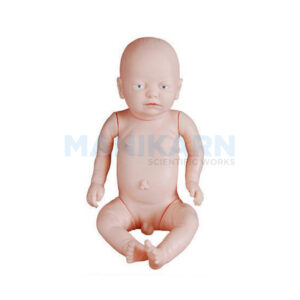 HUMAN MALE NEW BORN BABY MODEL