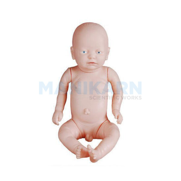 HUMAN MALE NEW BORN BABY MODEL