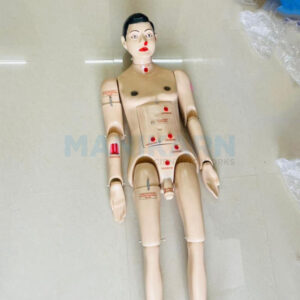 Nursing Male Manikin