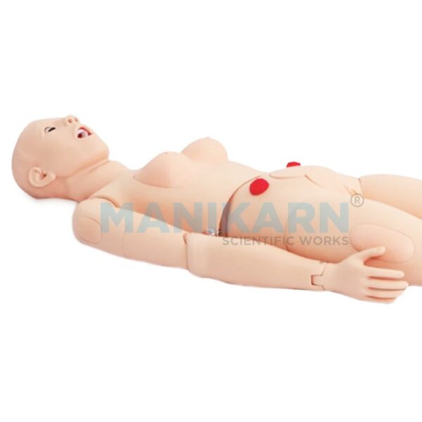 Multifunctional Manikin Model - Image 2