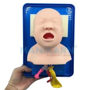 Intubation head model